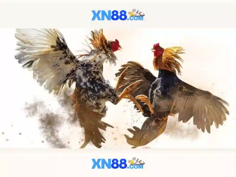 💎album hb88 hb88💎 - hb88 hb88 co - hb88 world cup