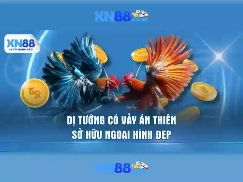 💎kèo fabet💎 - đăng ký fabet - fabet bip