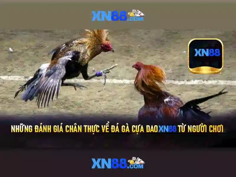 💎keonhacai - tin tức kèo nhà cái💎