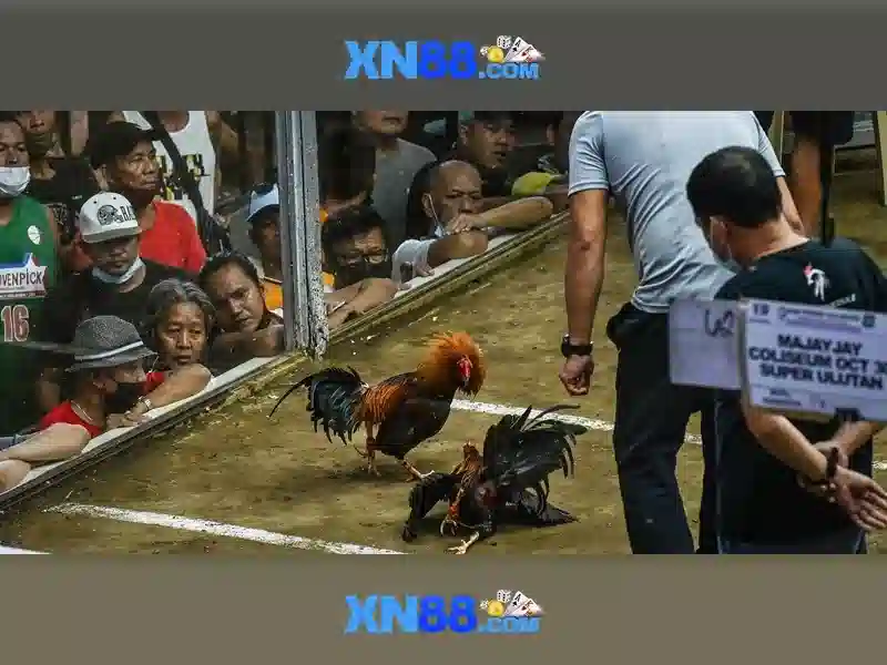 💎cách đánh trắng dây chuyền bạc💎