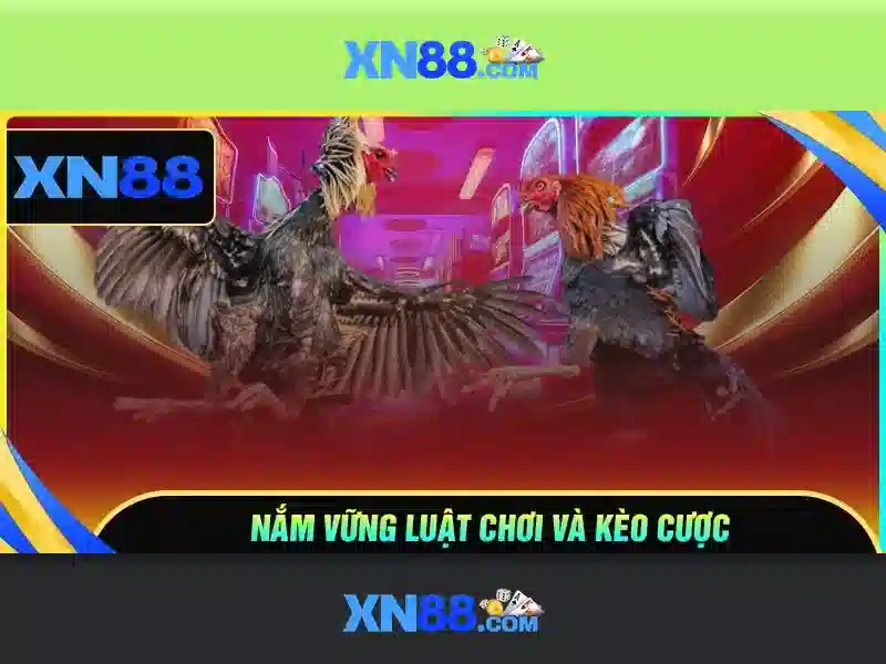 💎888 slot-6748💎