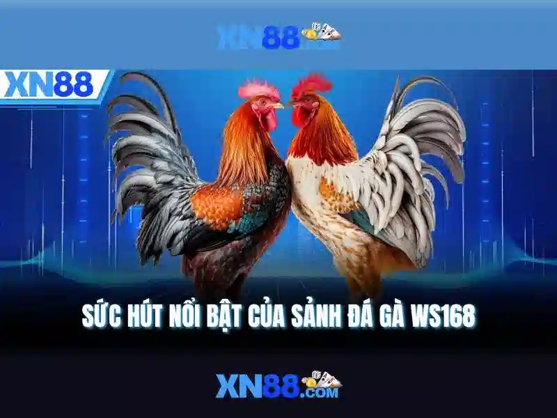  slot - XN88