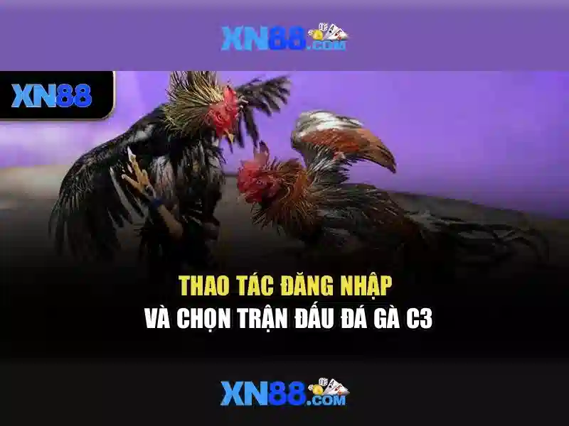 💎nhà cái uy tín top20💎
