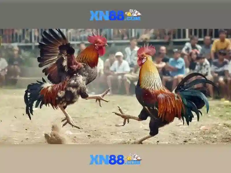 💎hb88 gaming slot games💎