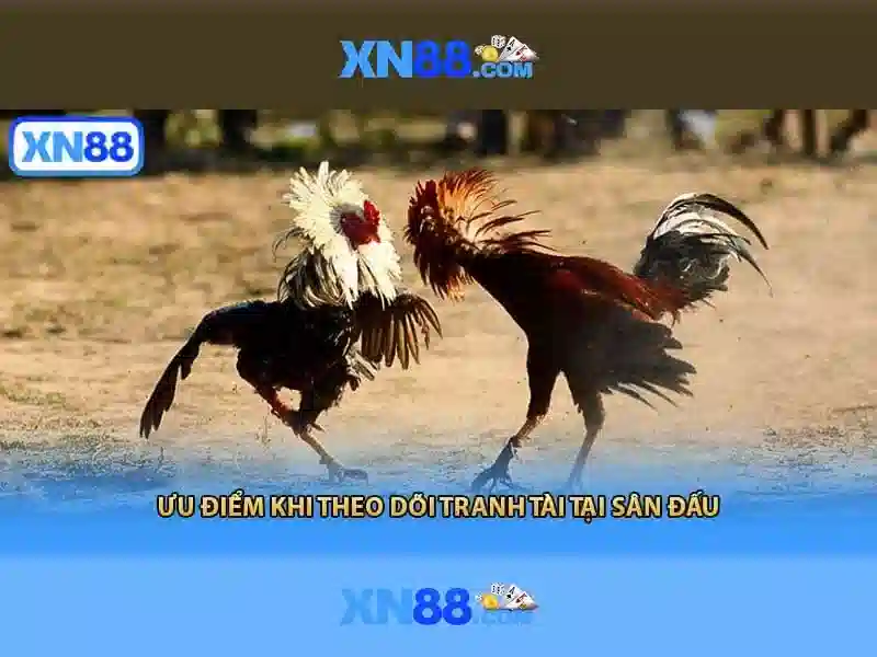 💎66b nguyễn chí sách💎 - 66b nguyễn sỹ sách tân bình - 66b nguyễn sỹ sách p15 q tân bình