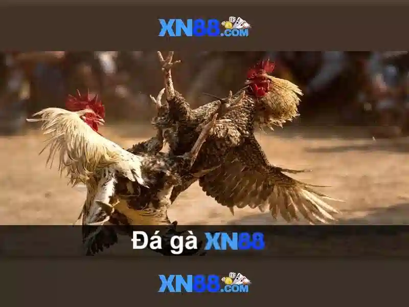 💎cd 66b rat💎 - ac 90 66b - 66b nguyễn sỹ sách phường 15 quận tân bình