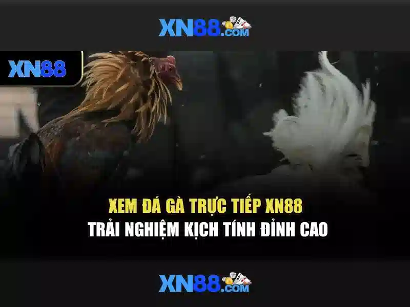 💎tất cả gói cước 4g của mobifone💎