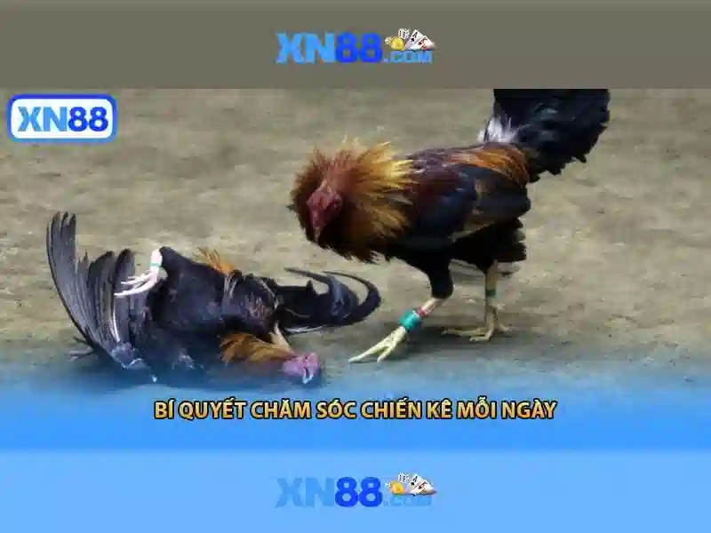 💎danh sách ca nhiễm covid tại bắc giang💎
