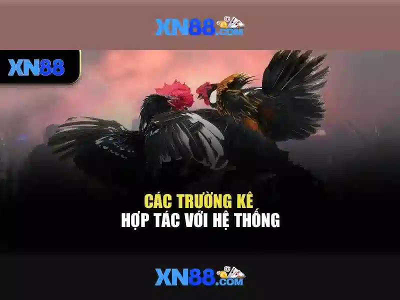 💎duit hoki slot💎