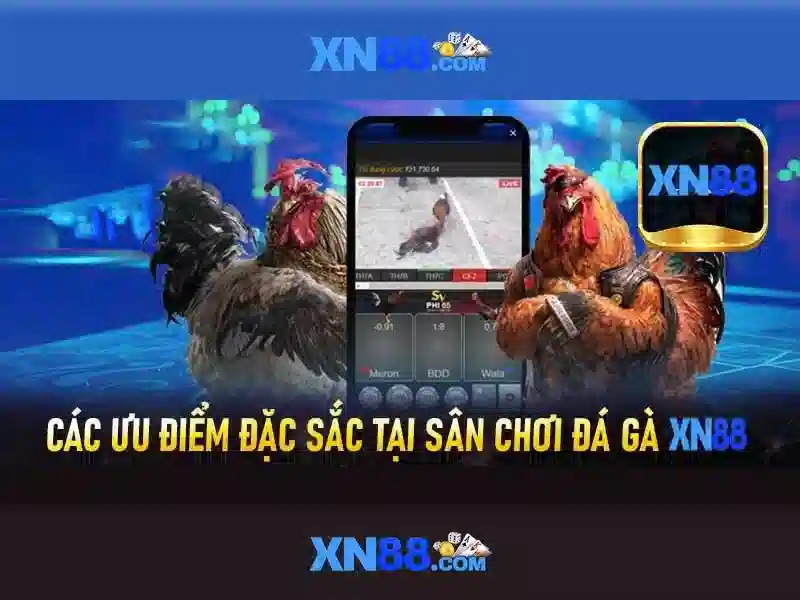 💎hb88 slot hack apk💎