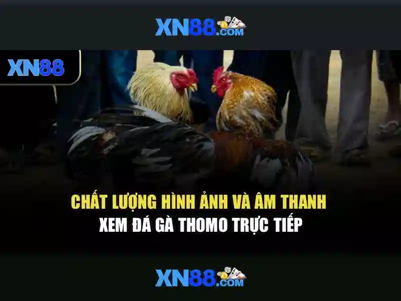 💎biện pháp thi công cải tạo sửa chữa nhà💎