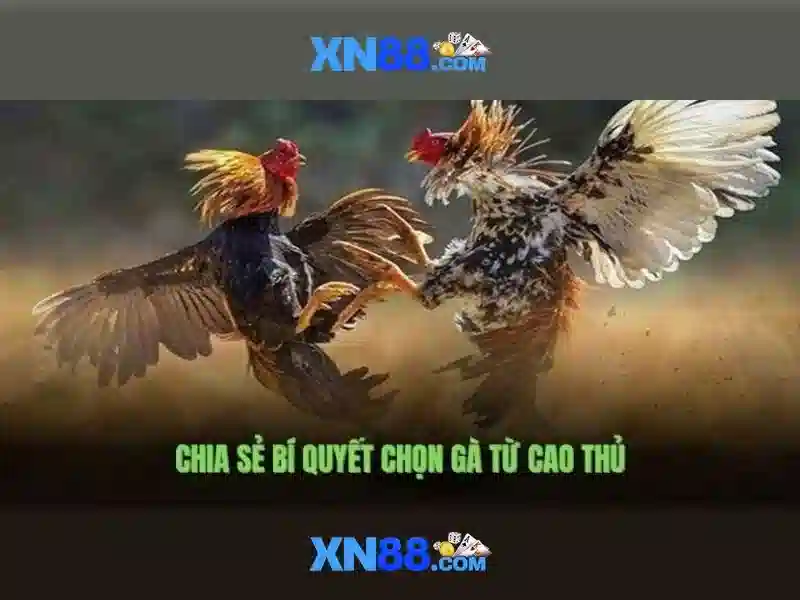 💎slot365 casino💎 - bắn cá Slot365 - Slot365 chính thức