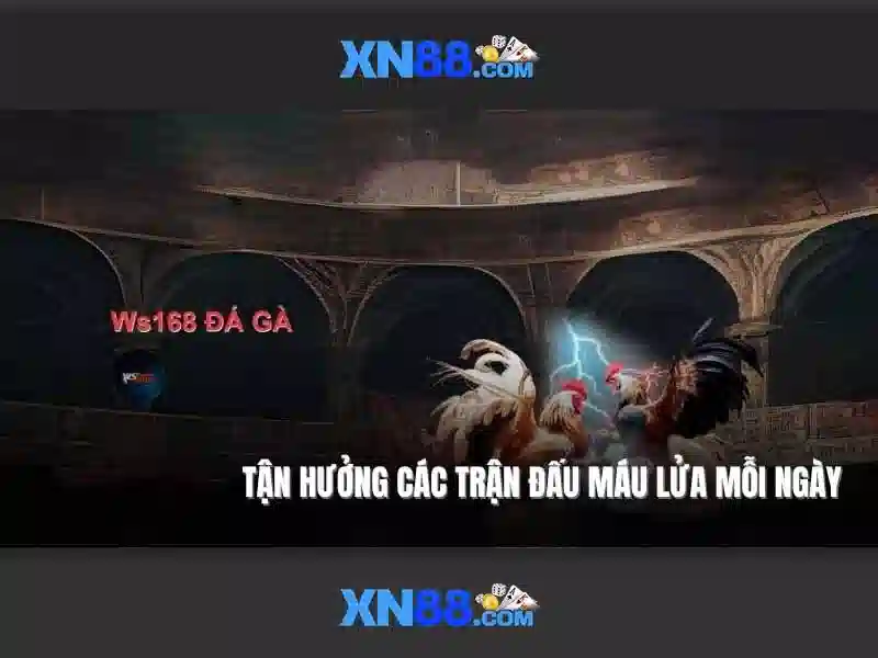 💎top nhà cái uy tín 15💎
