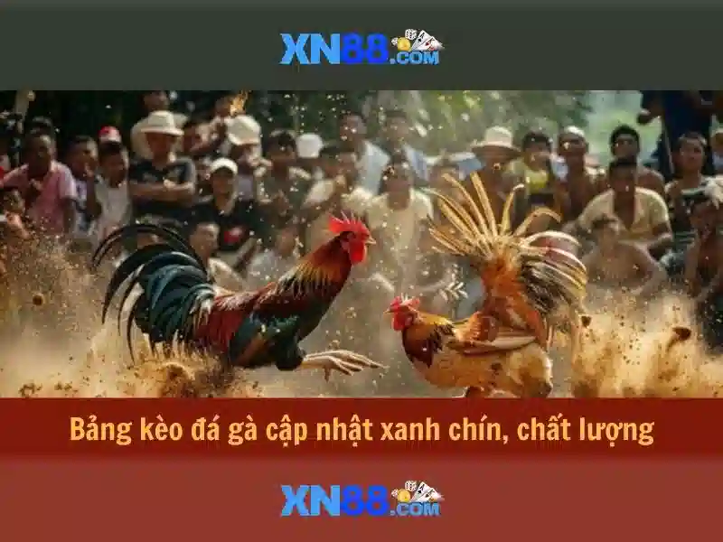 💎nhà cái xổ số tỷ lệ cao💎