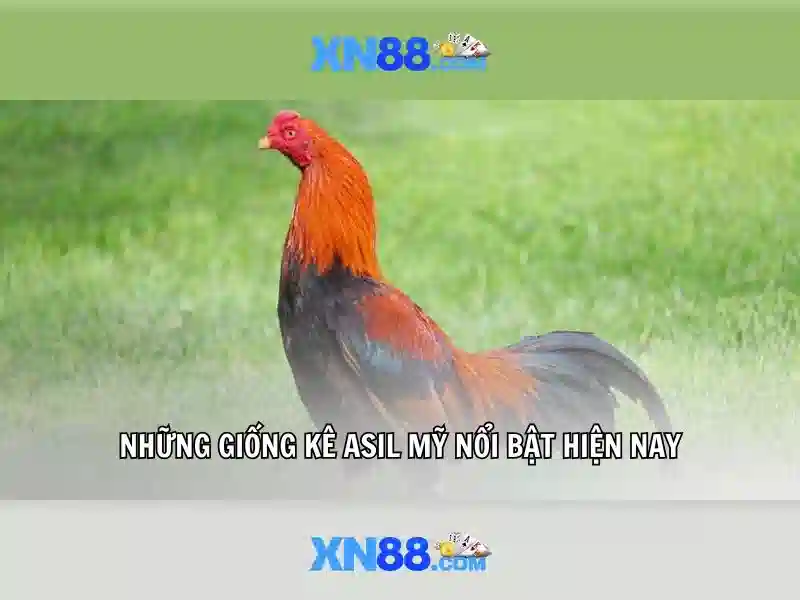 💎dongtamlongan cá cược💎