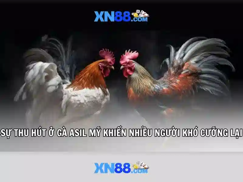💎xn88 club chính thức💎