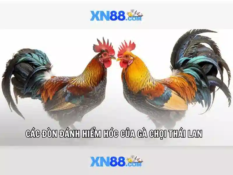 💎hb88 777 online casino💎