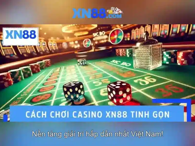 điều khoản - XN88