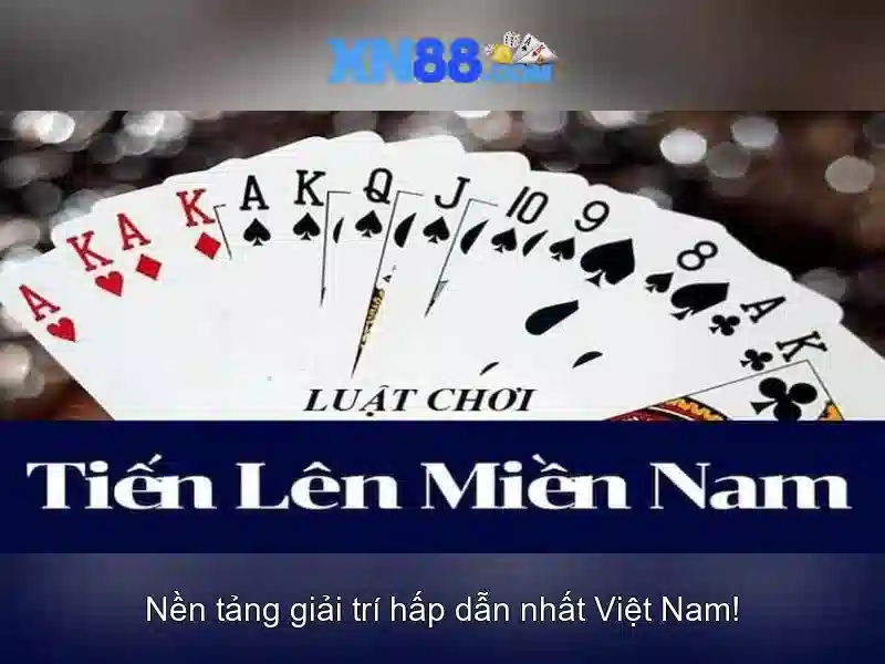 💎cuộc phiêu lưu đến đảo cá voi xanh💎
