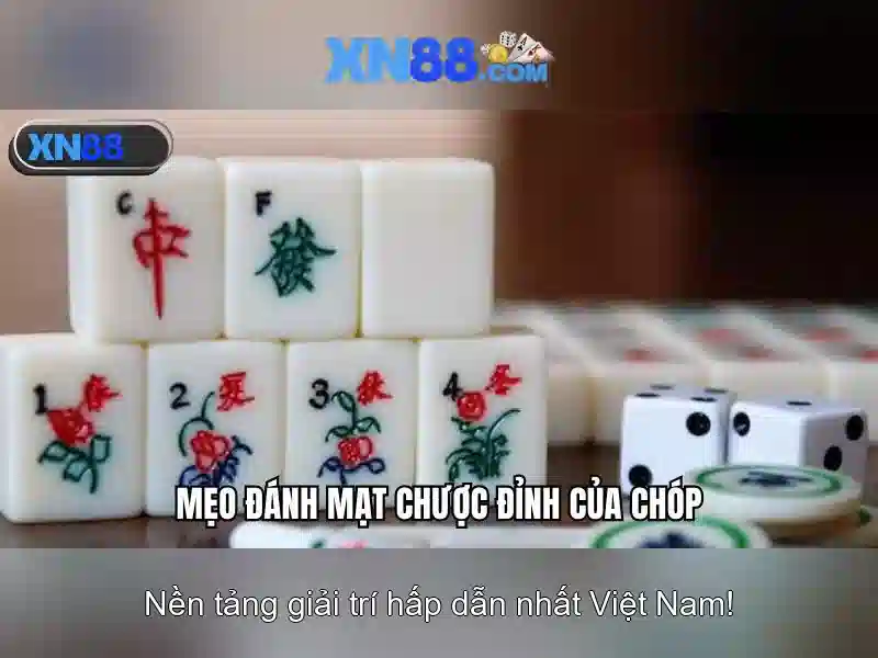 💎top10 nhà cái uy tín nhất hiện nay💎