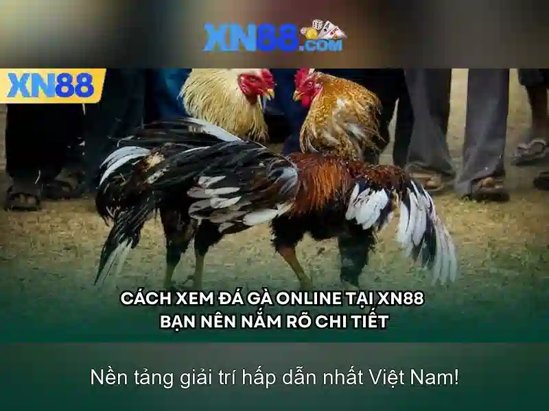 💎xem bóng đá trực tuyến kèo nhà cái💎