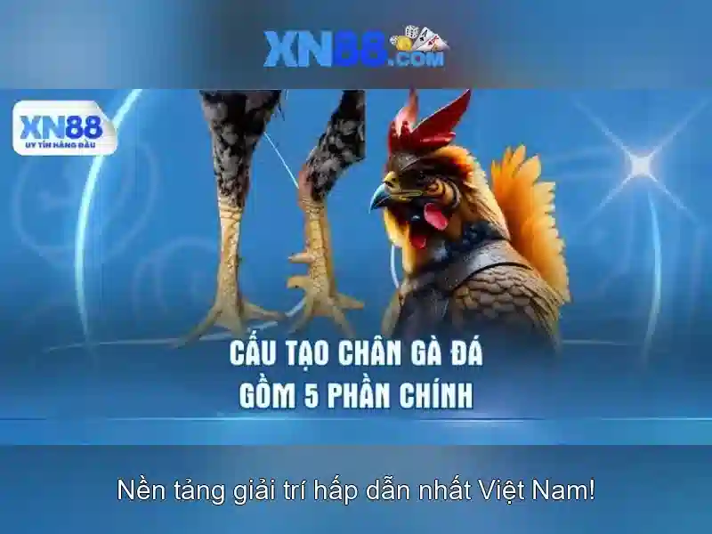 💎thuốc lá john xn88💎