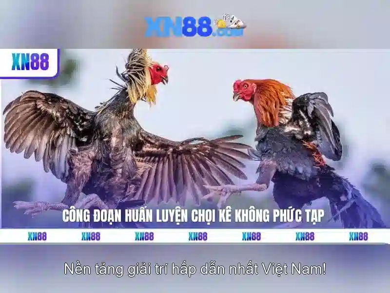💎888slot 777 casino💎