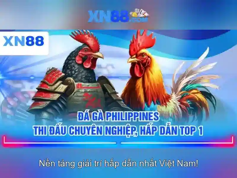 💎888 slot hacker💎