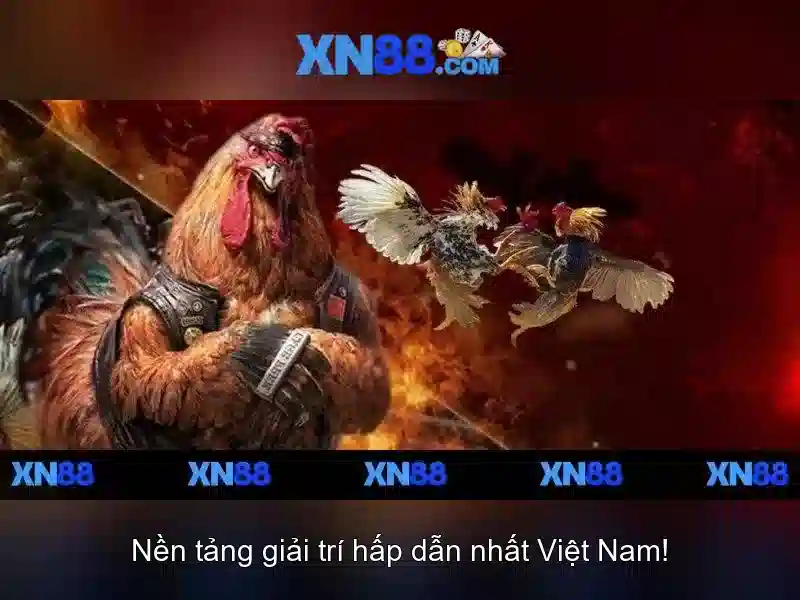 💎555win link💎 - tải 555win - tai app 555win