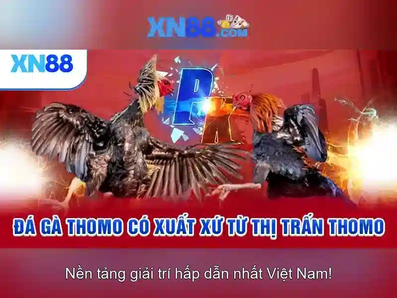 💎xn88 meaning💎