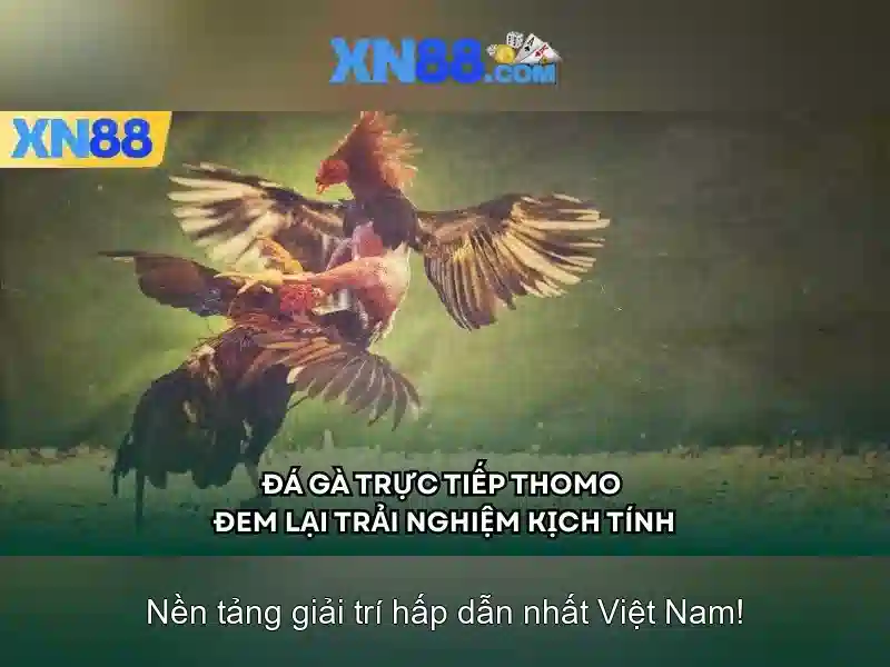 💎nhà cái uy tín top 8💎