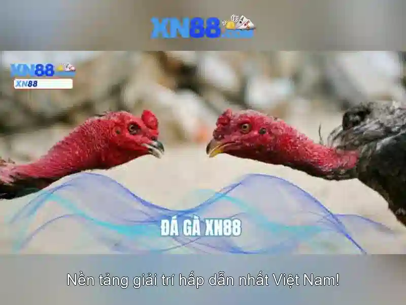 💎nhà cái euro uy tín💎
