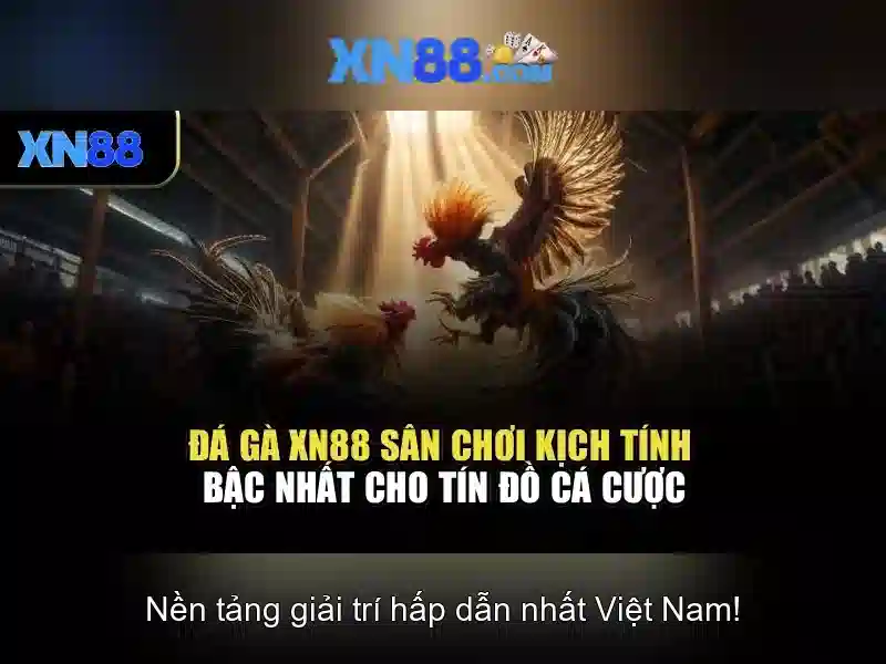 💎xe đạp điện hb88 giá bao nhiêu💎