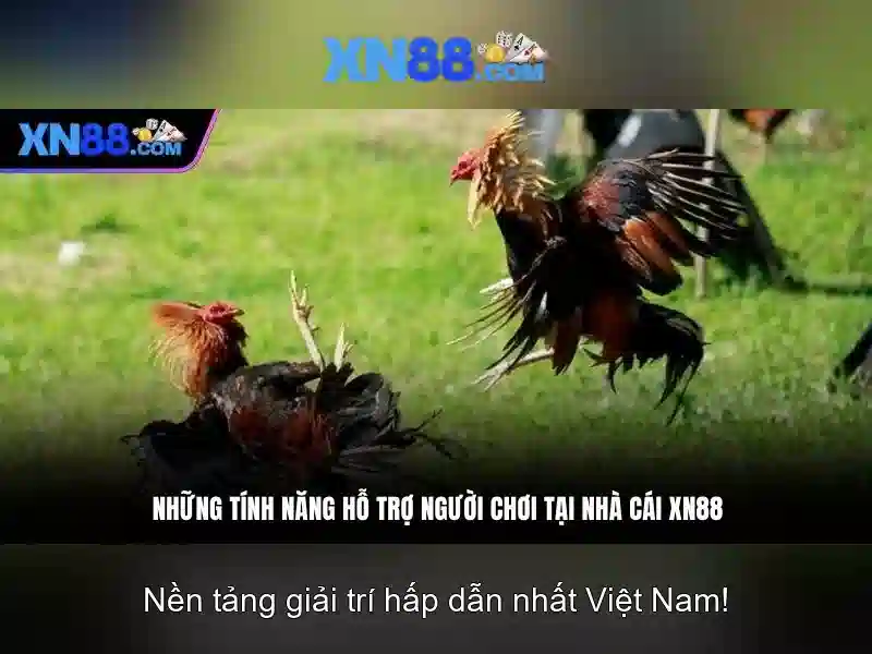 💎trang mạng cá cược uy tín aufop💎