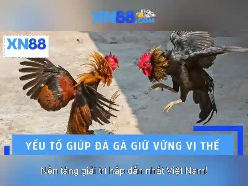 💎hb88 911 casino💎