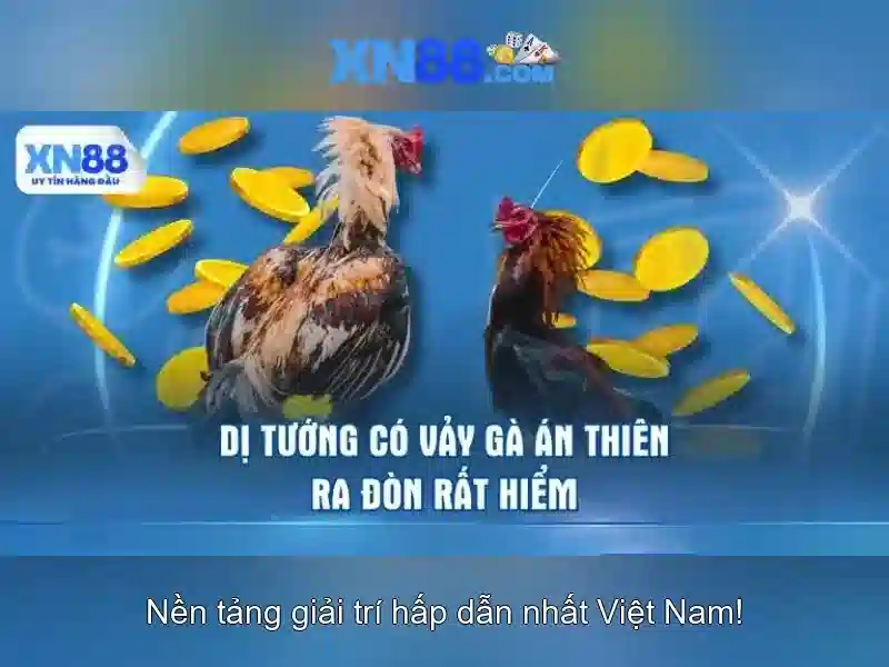 💎kèo nhà cái world cup châu âu💎