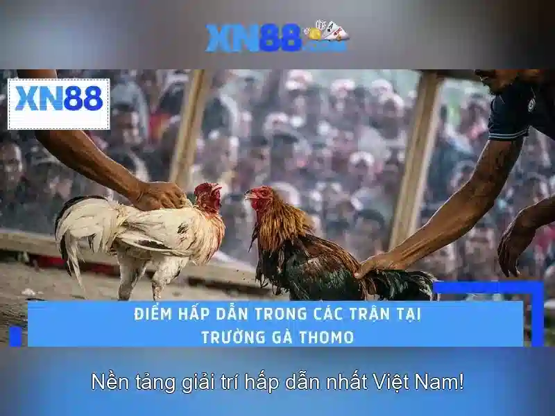 💎188v vip💎 - rút thưởng 188v - eSports 188v