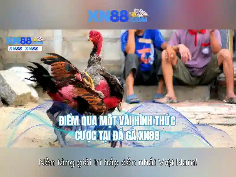 💎xn88 city myanmar💎