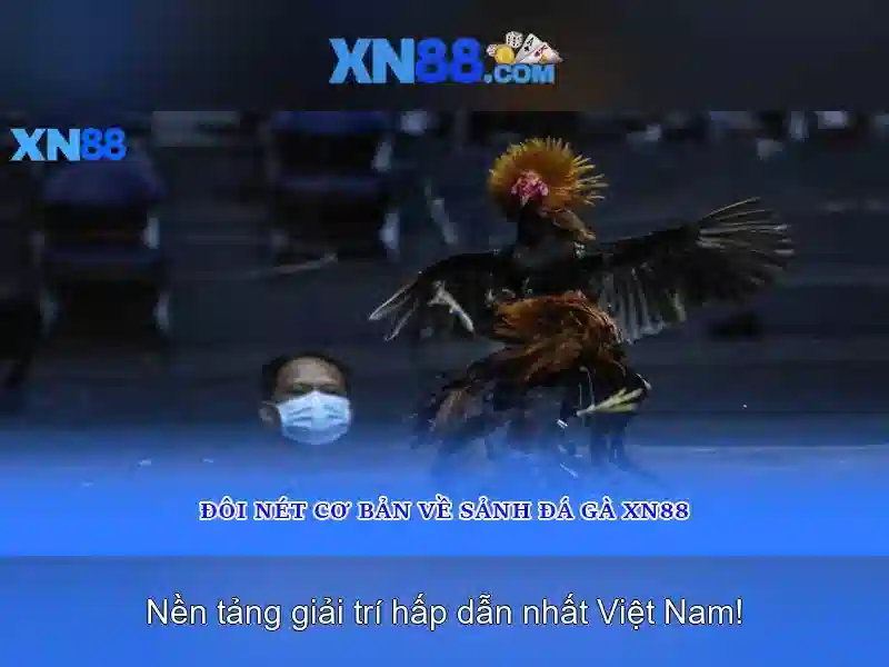 💎cách đánh bạch thủ lô miền bắc💎
