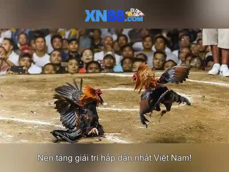 💎game no hu 90💎