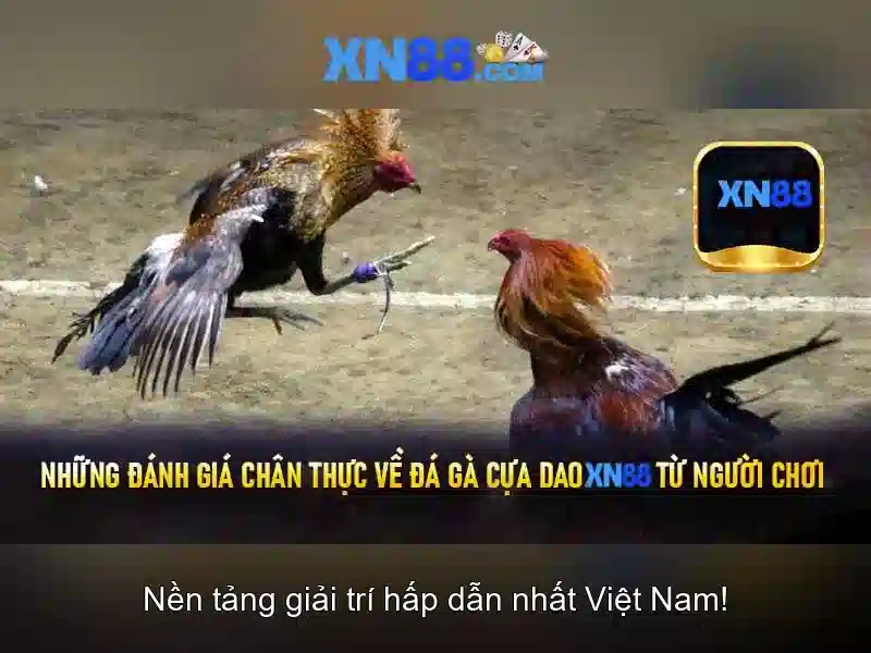 💎xn88 maintenance today💎