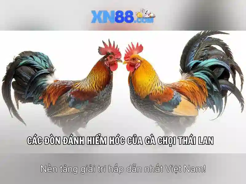 💎nhà cái thể thao uy tín ektomorf💎