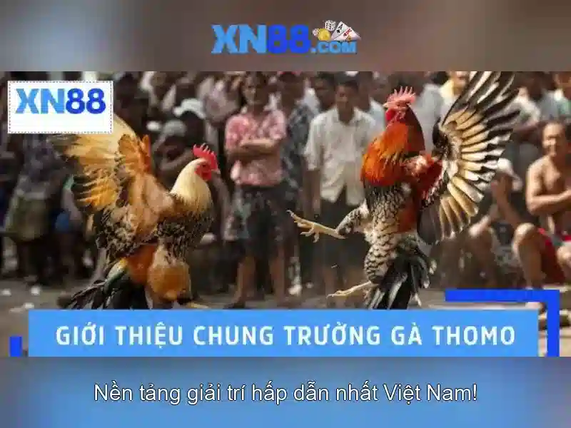💎kèo nhà cái trận việt nam thái lan💎