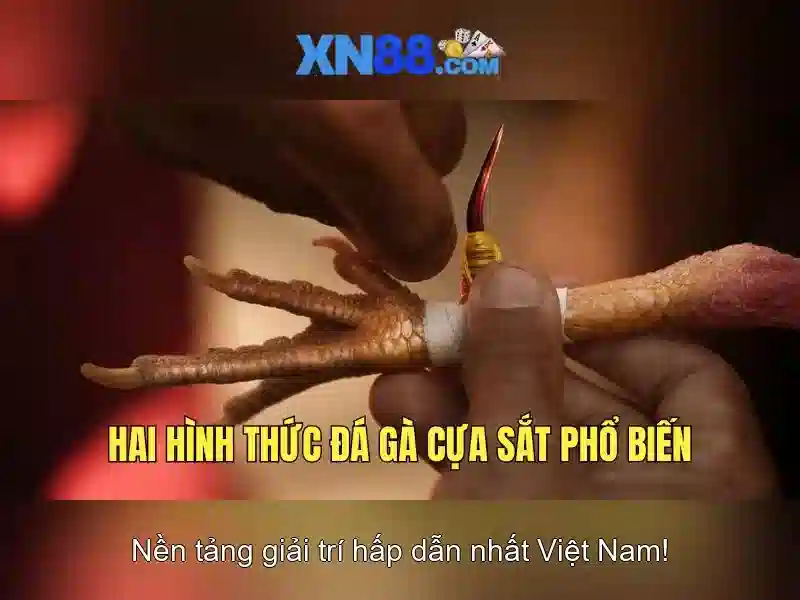 💎888slot slot tactic💎