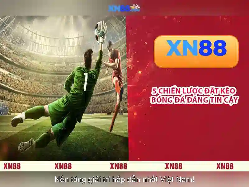 💎keo nha cai chatbox💎
