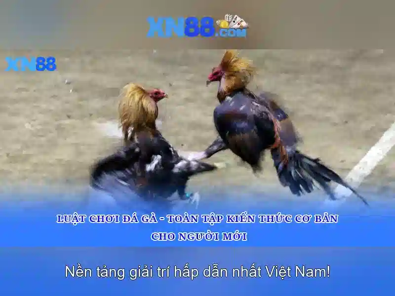 💎bác sĩ vô danh phần 1💎