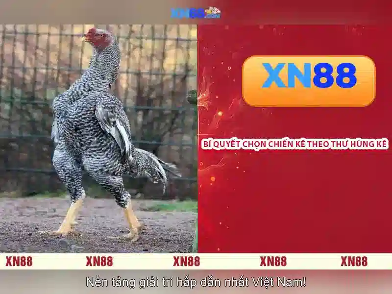 💎feyenoord hb88 slot💎