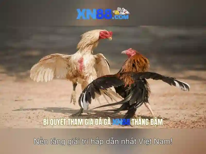 💎nhà cái uy tín.23💎