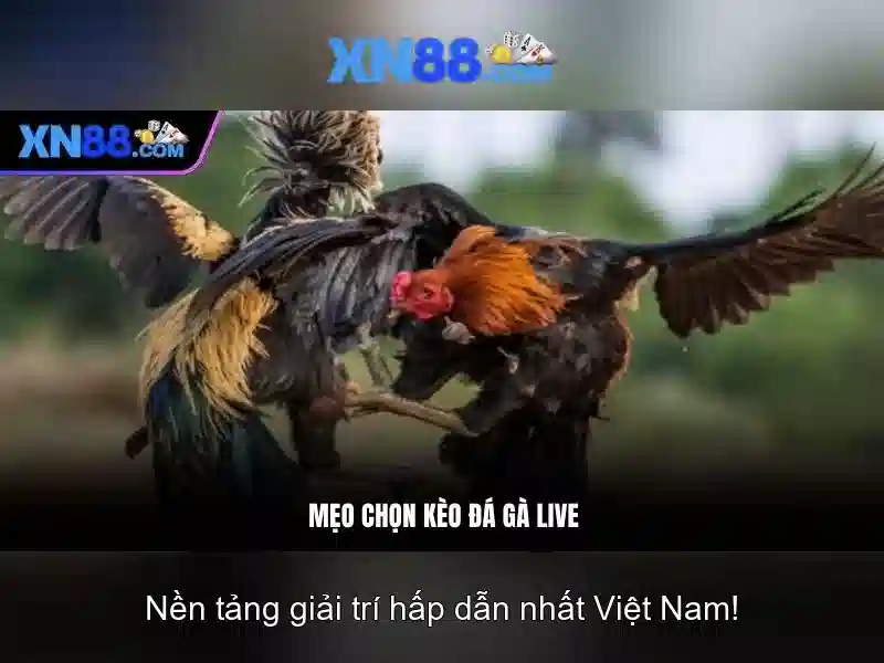 💎web slot 888slot💎