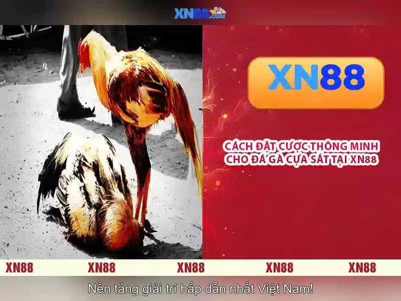 💎jackpot joker hb88💎